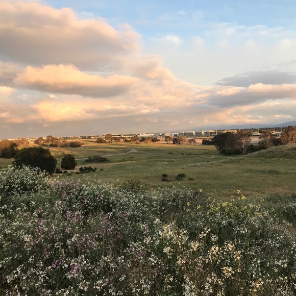 Meet your Posher, Fangyuan - Picture 1 of 1